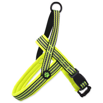 Ham ACTIVE DOG Neopren lime L