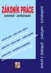 Codul muncii. Comentariu: Angajarea