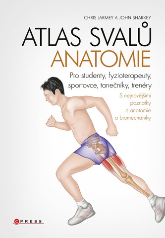 Atlasul mușchilor - anatomie