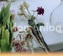 Nylon Union (CD)