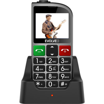 EVOLVEO EasyPhone FM stříbrný