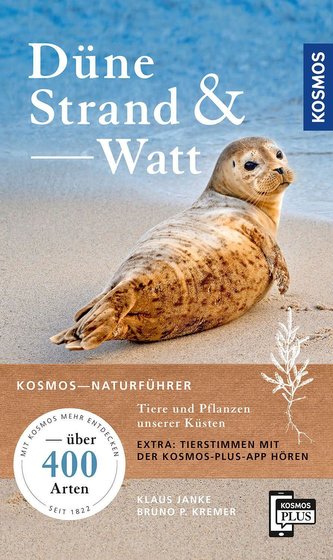 Dune, plajă și țărm
