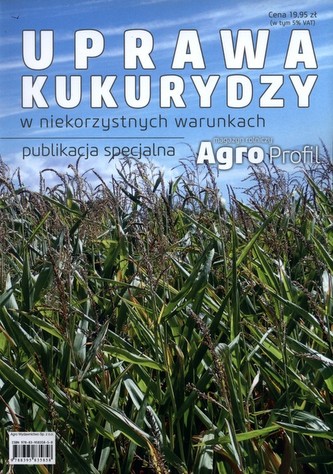Uprawa kukurydzy