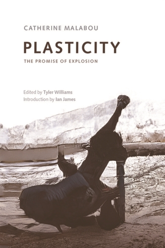 Plasticitate