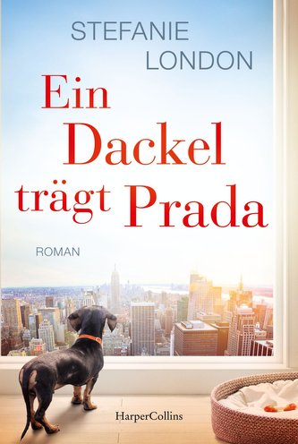Un teckel poartă Prada