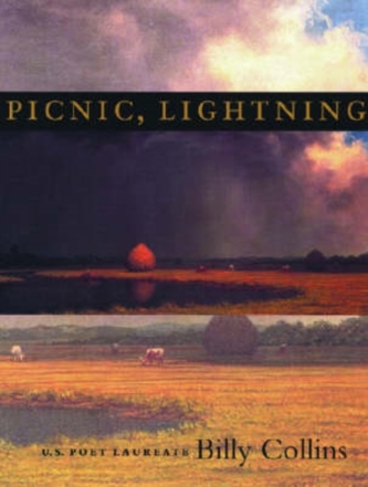 Picnic, Lightning