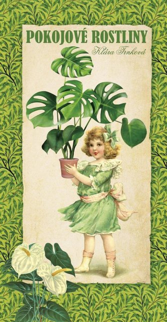 Plante de interior