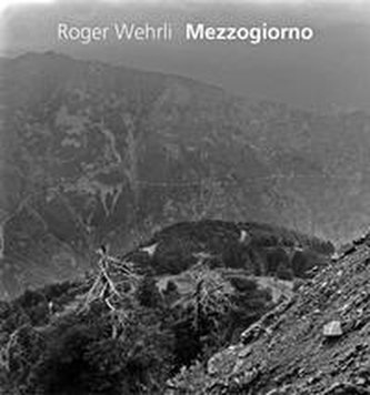 Roger Wehrli