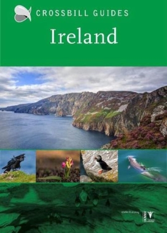 Irlanda