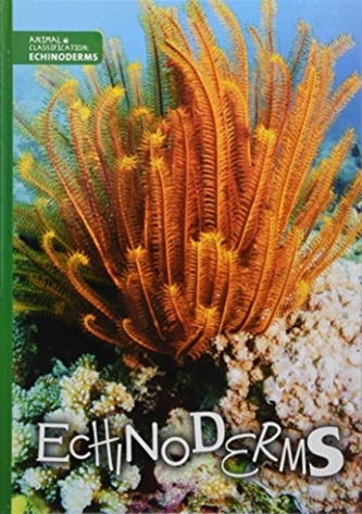 Echinoderme