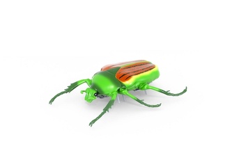 HEXBUG Real Bugs - Gândac japonez