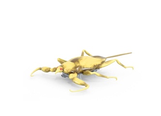 HEXBUG Real Bugs - scorpion de apă