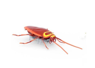 HEXBUG Real Bugs - Šváb