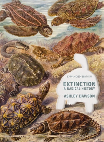 Extincție