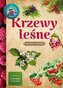 Arbusti de pădure