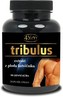 4Slim Tribulus fruit 90 kapslí