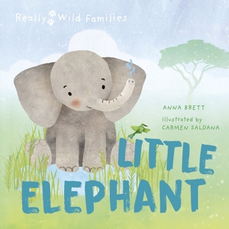 Micul elefant