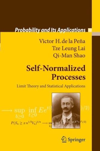 Procese auto-normalizate