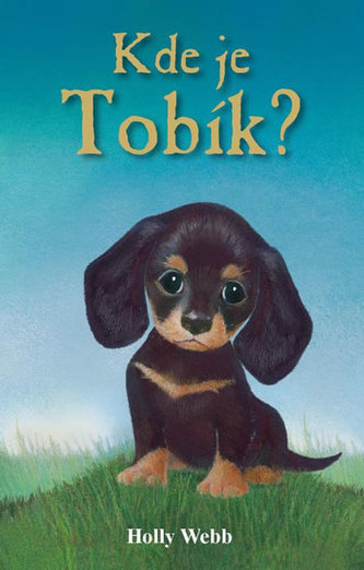 Unde e Tobik?