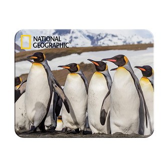 Magnet 3D - pinguini