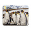 Magnet 3D - pinguini