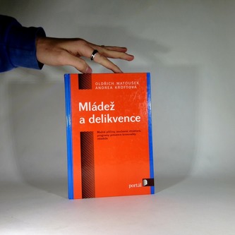 Mládež a delikvence