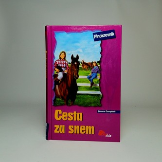 Drumul către vis