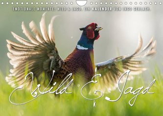 Emotionale Momente: Wild und Jagd. (Wandkalender 2023 DIN A4 quer)
