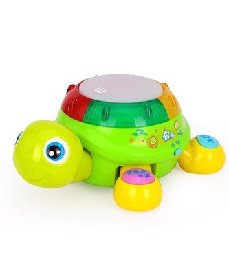 Broască țestoasă interactivă B12.002.1.1
