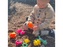 Playgro - Dinozauri pliabili