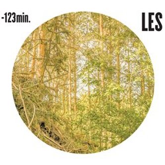 Pădure