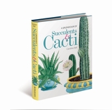 O splendoare de suculente și cactuși