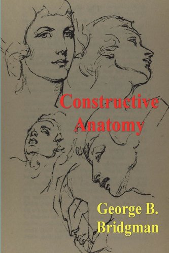 Anatomia constructivă