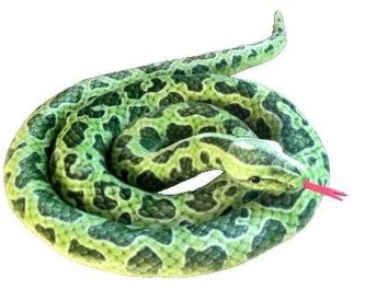 Python verde 200 cm