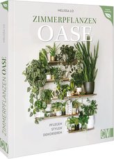 Oază de plante de apartament