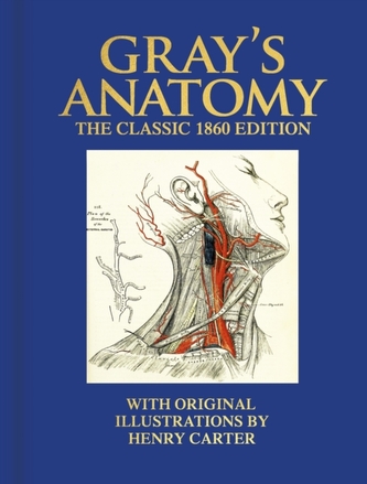 Anatomia lui Gray