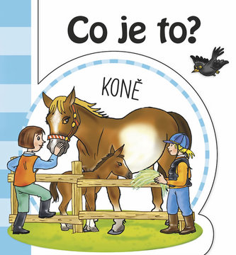 Ce este? Cai
