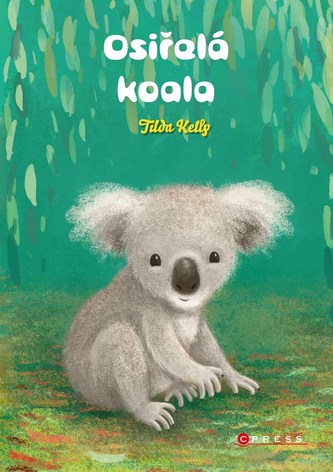 Koala orfană