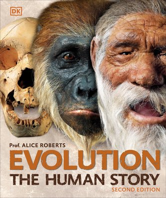Evoluție
