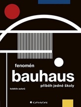 Fenomenul Bauhaus