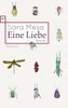 Eine Liebe
