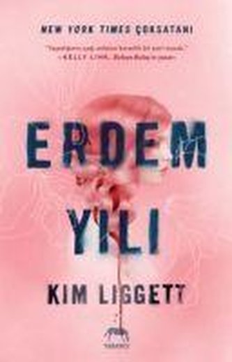 Erdem Yili