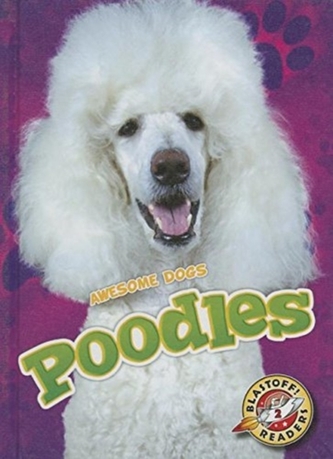 Pudeli