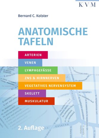 Tabele anatomice