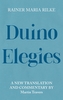 Elegii de Duino