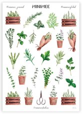 Plante