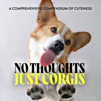Fără gânduri, doar corgi