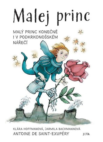 Micul Prinț