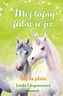 Unicornul meu secret 2: Vise care se împlinesc
