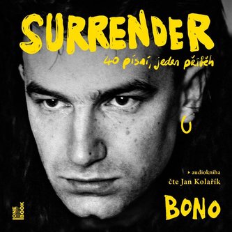 Surrender: 40 de piese, o poveste - CD mp3
